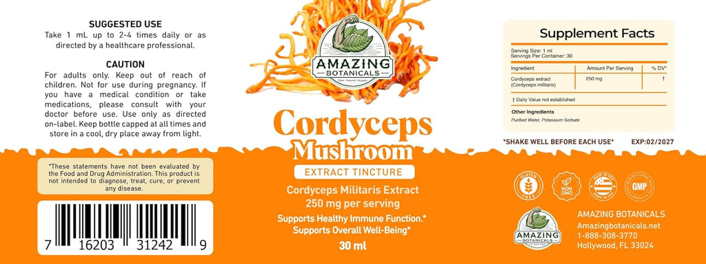 Cordyceps Mushroom Extract Tincture – 250mg per Serving – Dual Extract Liquid Supplement – Energy & Endurance Support – Vegan, Non-GMO, USA Made, Sugar & Alcohol-Free Drops – 1oz bottle, 30mL