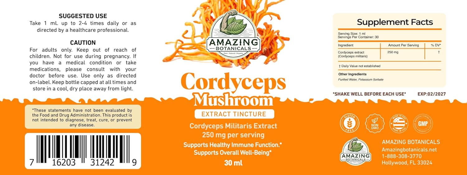 Cordyceps Mushroom Extract Tincture – 250mg per Serving – Dual Extract Liquid Supplement – Energy & Endurance Support – Vegan, Non-GMO, USA Made, Sugar & Alcohol-Free Drops – 1oz bottle, 30mL