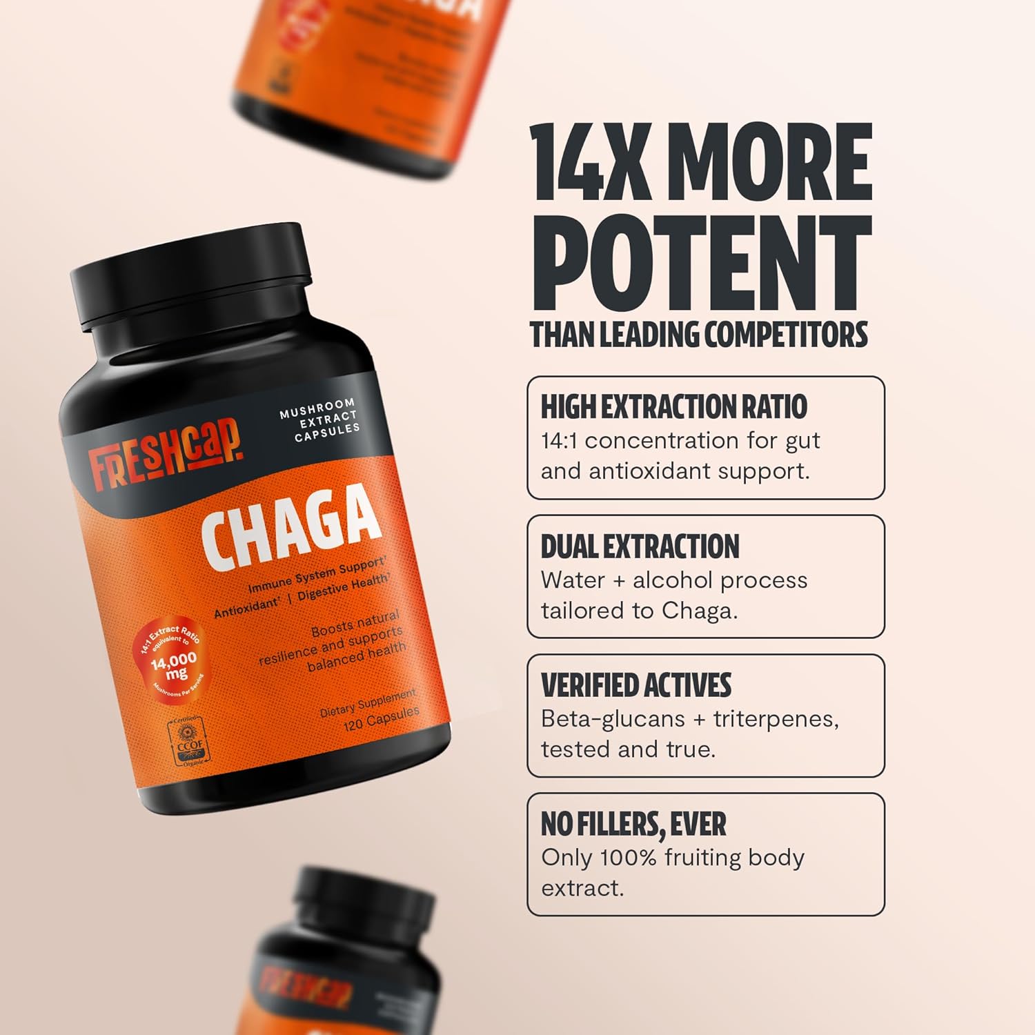 FreshCap Mushrooms Chaga Mushrooms Capsules 14,000mg - Mushroom Extract Antioxidants Supplement, Herbal Supplements, Ayurveda Nootropic Immunity Supplements (120 Capsules)