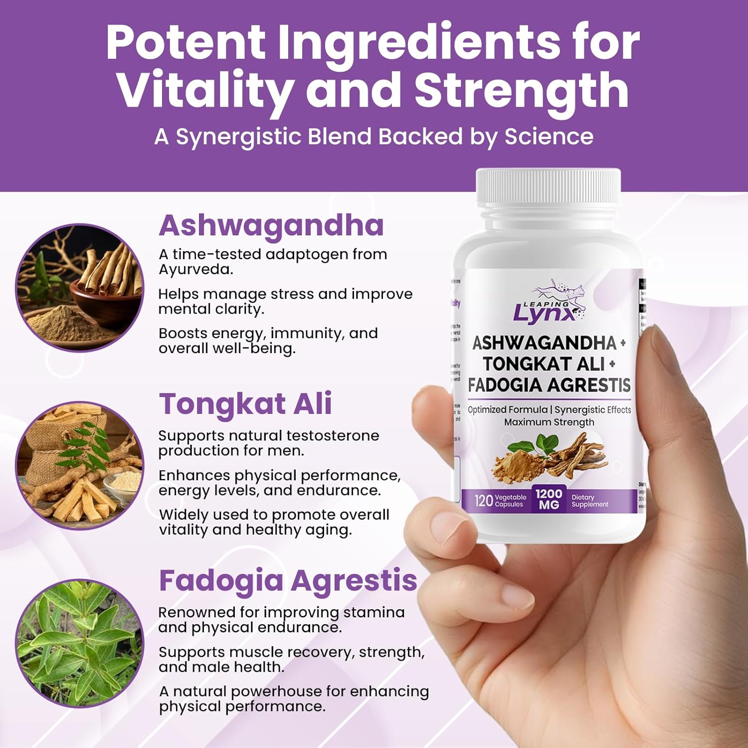 SUPER SUPPLEMENTS Ashwagandha Capsules + Tongkat Ali + Fadogia Agrestis - 120 Capsules, Organic Ashwagandha Supplement - Vegan Ashwagandha Root, Gluten-Free, Non-GMO, for Stress Relief, Energy & Sleep
