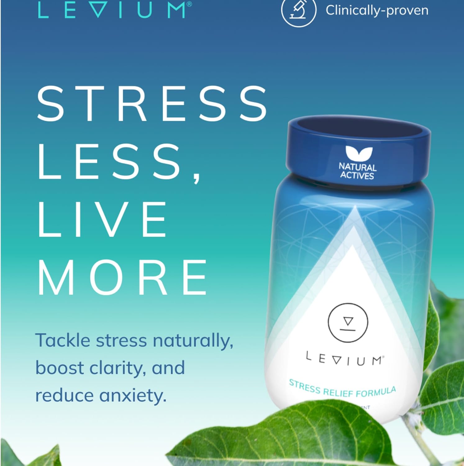 Levium Maximum Strength Stress Relief Supplement | Calm and Mood Support Supplement with KSM-66 Ashwagandha, GABA, L-Theanine, Magnesium | 90 Capsules, 30 Day Supply