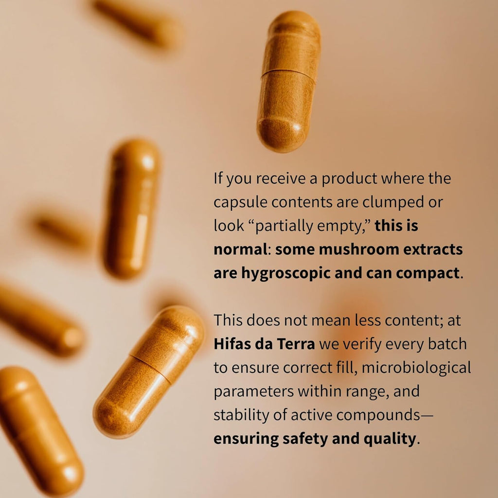HIFAS DA TERRA HIFAS-Equilibrium - Mushroom Supplement, Lions Mane Mushroom Complex with Cordyceps, Nootropic Adaptogenic for Adults for Mental Clarity, Energy, & Cognitive Performance - 60 Capsules
