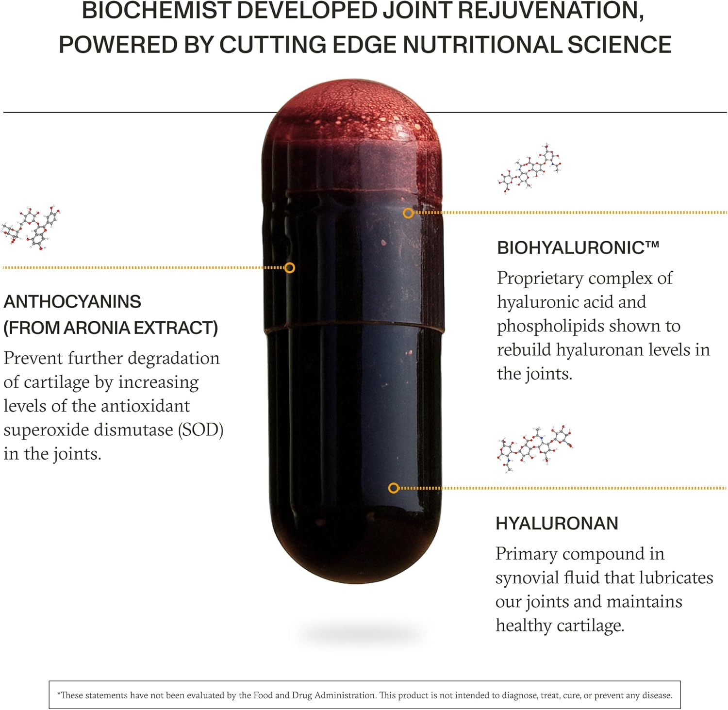 Synchro - Rejuve Joint Support Supplement, Non-GMO Cartilage and Joint Support, Joint Supplement with Hyaluronic Acid and Anthocyanins, 60 Joint Health Supplement Capsules
