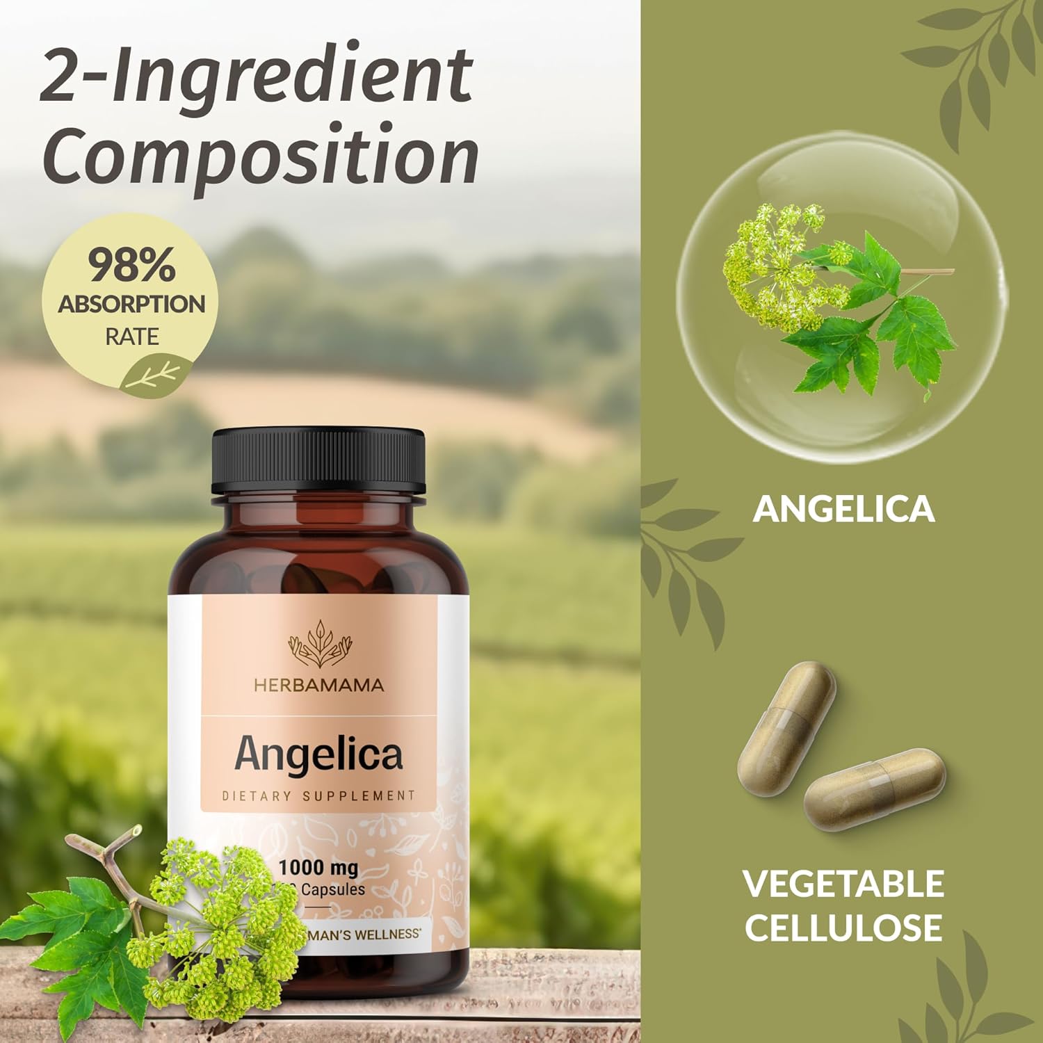 HERBAMAMA Dong Quai Supplement - 1000mg Angelica Root for Women's Support - Dong Quai Powder Capsules - Vegan, Non-GMO Angelica Herb Antioxidant Supplement for Women, 100 Caps