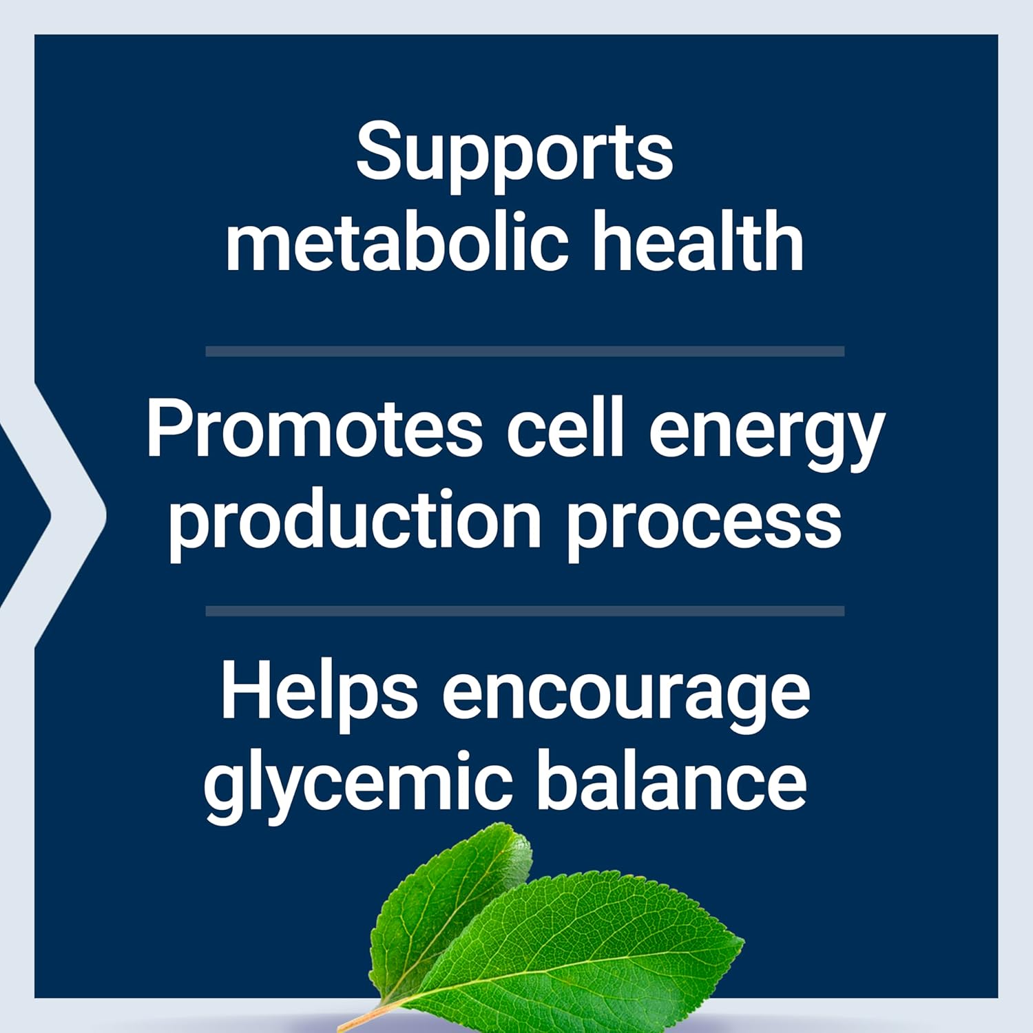 Life Extension Vanadyl Sulfate, Trace Mineral, Vanadium, Healthy glycemic Balance, Healthy Metabolism, Hormone Function, Gluten-Free, Non-GMO, Vegetarian – 100 Tablets