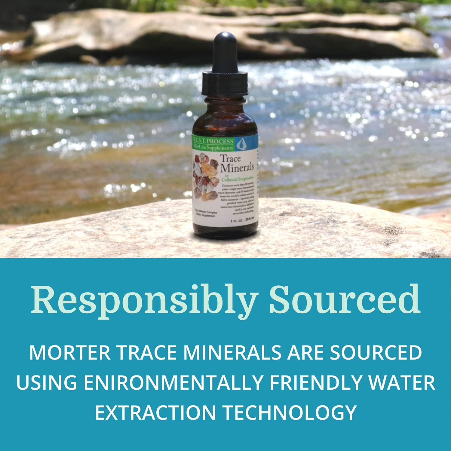 Morter Trace Minerals in Colloidal Suspension (12 Pack) Morter HealthSystem Best Process Alkaline — Nutrient Dense Trace Elements, Fulvic Minerals & Amino Acids