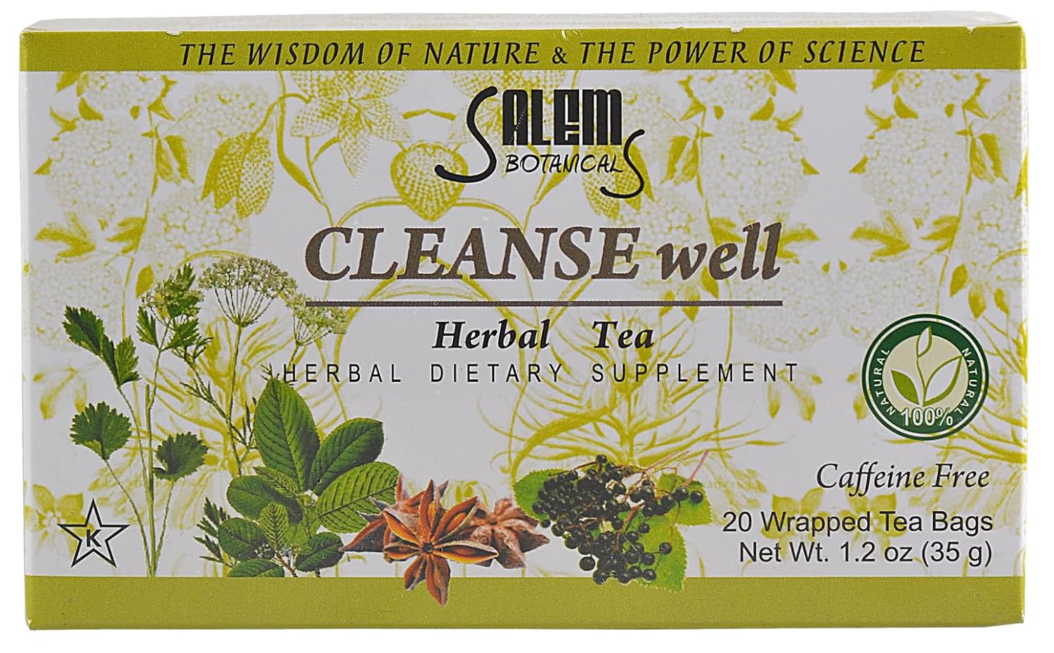 Salem Botanicals Cleanse Well Tea - Herbal Blend for Digestive Health | Supports Digestion, Bloating Relief & Detoxification - Caffeine-Free | 20 Tea Bags
