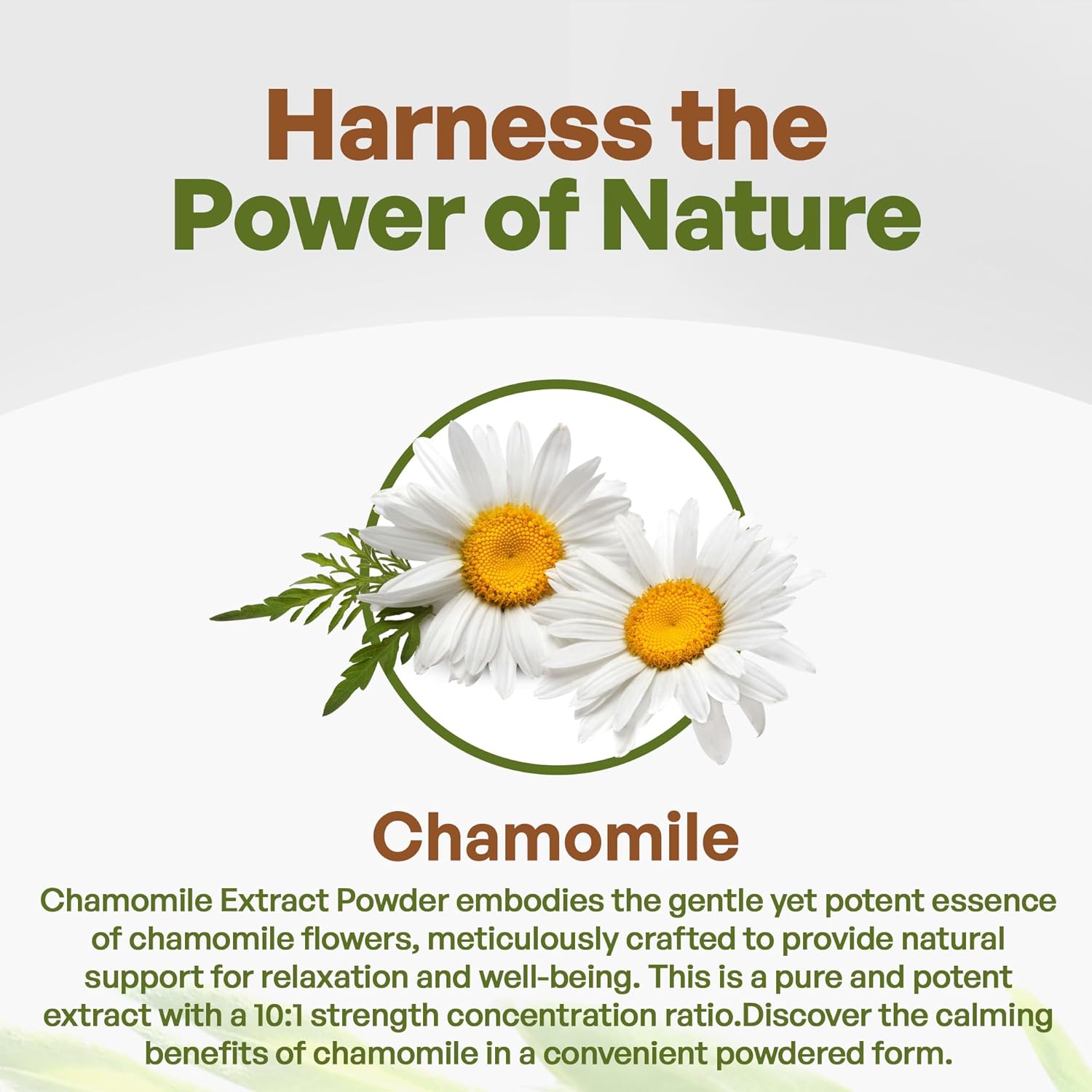 Go Nutra Chamomile Extract Powder 10:1 Strength Apigenin Supplement 8 oz. Herbal Extract