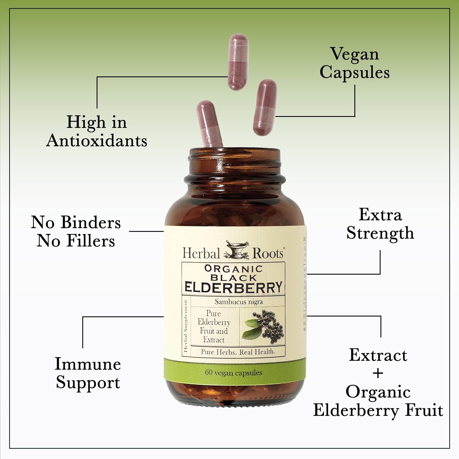 Herbal Roots Organic Black Elderberry Capsules | Max Strength | Made with Organic Sambucus | 60 Vegan Capsules
