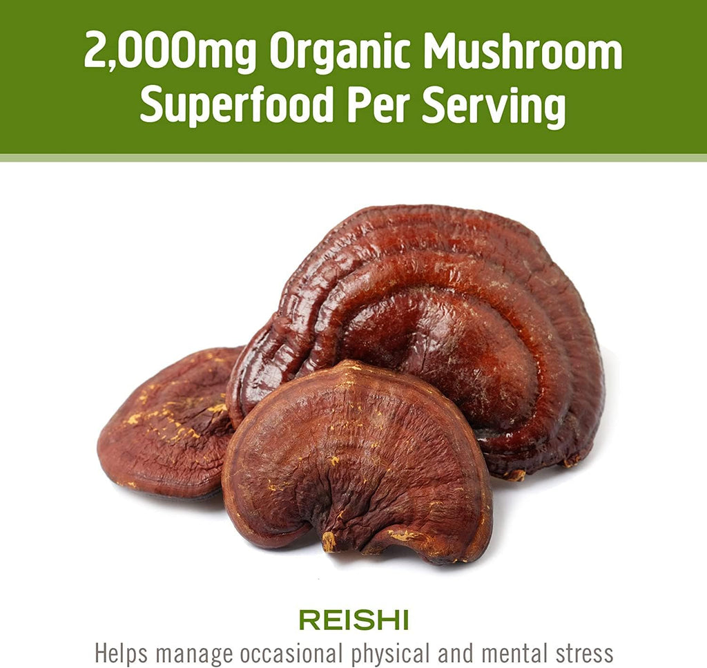 OM MUSHROOM SUPERFOOD Reishi Mushroom Capsules Superfood Supplement, 90 Count, 30 Days, Organic Adaptogen for Stress Relief and Immune Health