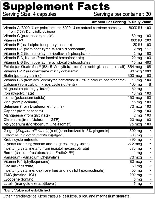 Wellness Resources Daily Prenatal Multi Vitamin - Methylated Folate Zinc Iron Bisglycinate Choline & Key Nutrients - Natural Prenatal Postnatal Postpartum Vitamins for Women - 120 Caps