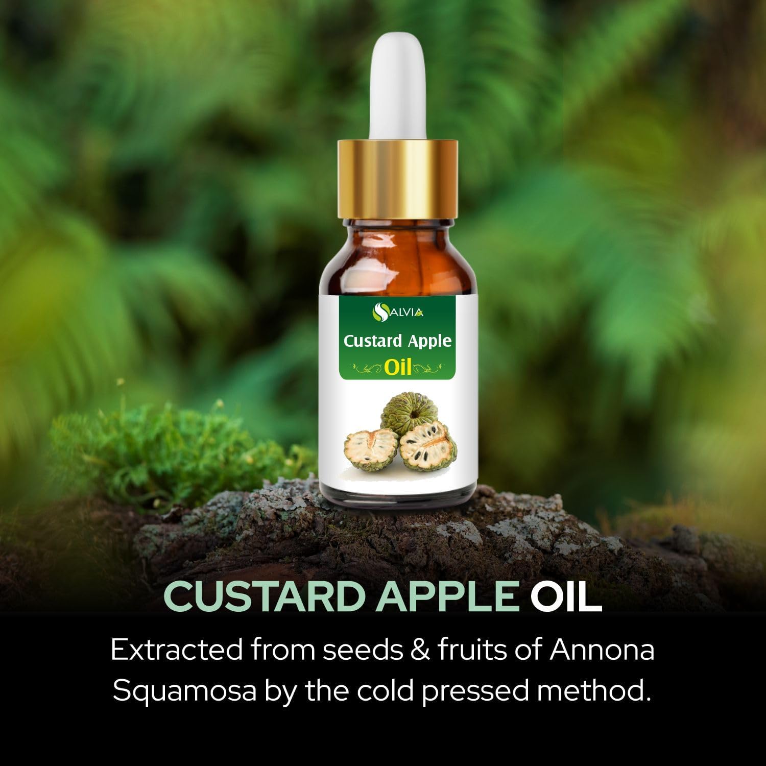 Salvia Custard Apple (Annona Reticulata) Oil - 100ml/3.38Fl Oz with Dropper