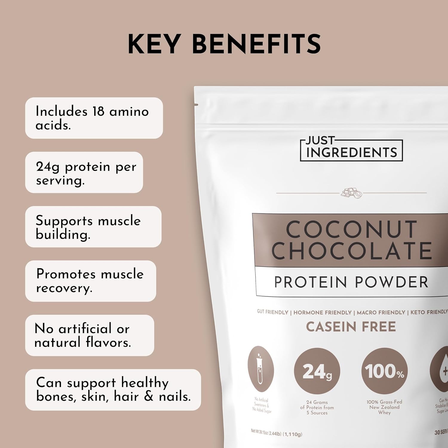 JUST INGREDIENTS Coconut Chocolate Protein Powder – 30-Serving Blend with 100% Grass-Fed Whey & Organic Plant Proteins – Creamy Coconut Cocoa Flavor – Supports Muscle Recovery, Energy*
