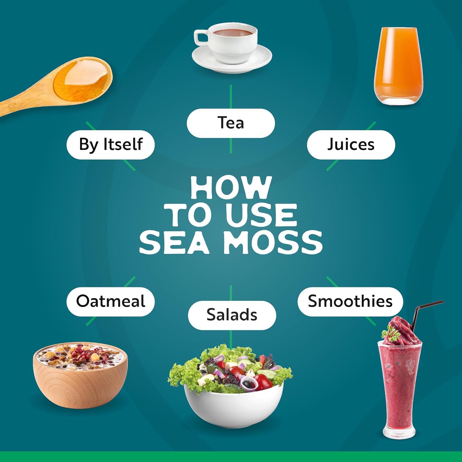 Herbal Vineyards Wildcrafted Irish Pineapple Sea Moss Gel 16 Oz - Organic Seamoss Gel Made with Dried Seaweed & Fresh Sea Vegetables, Natural & Plant-Based, Harvested in Pristine Waters, USA