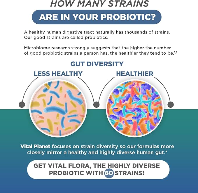 Vital Planet - Vital Flora Probiotics for Men, 60 Billion CFU, 60 Diverse Strains, 7 Organic Prebiotics, Men’s Daily Shelf Stable Probiotic for Immune Support, Gas Relief, Digestive Health 60 Capsules