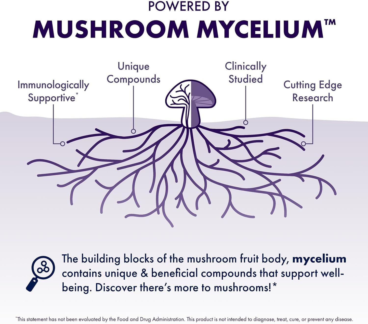 Host Defense MycoBotanicals Brain* Capsules - Brain Support Supplement with Lion's Mane, Reishi & Cordyceps Mushroom - Herbal Supplement for Memory & Focus Support - 60 Capsules (30 Servings)*