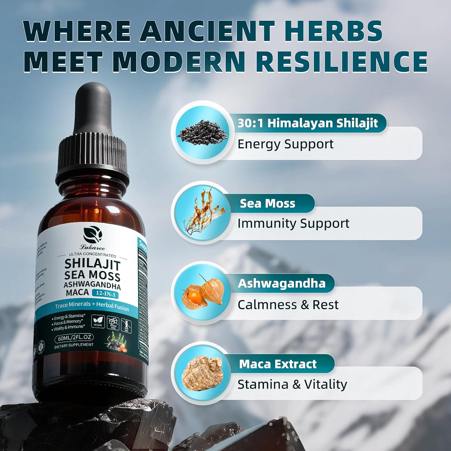 Shilajit Liquid Drops, 12-in-1 Complex - Sea Moss, Ashwagandha, Maca, Fulvic Acid, Trace Minerals, Liquid Vitamins Supplement for Men and Women, Energy, Antioxidant, Immune Support, 60ML/2 FL Oz