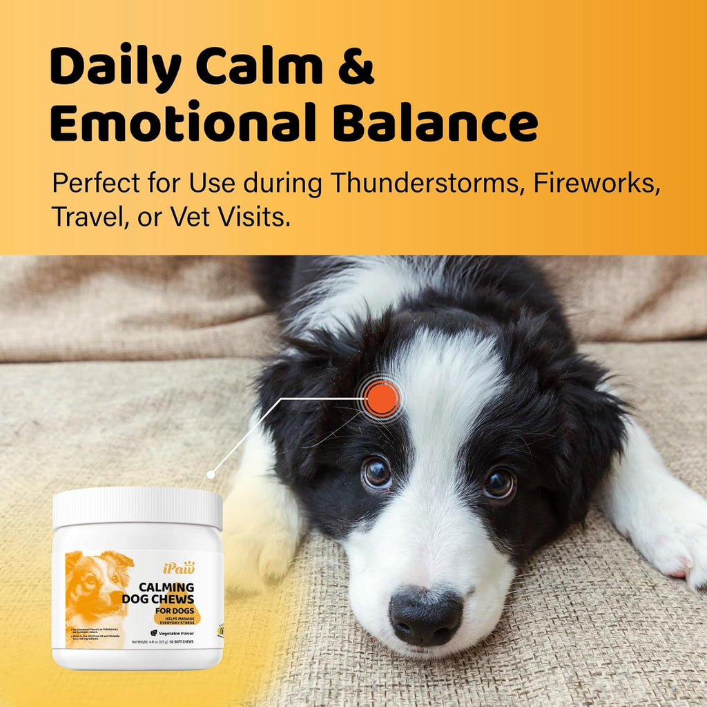 iPaw Calming Chews for Dogs, Calming Dog Treats, Separation Anxiety Relief Calming Care, Manage Everyday Stress for Puppy, Made in USA, Vegetable Flavor (50 Chews)