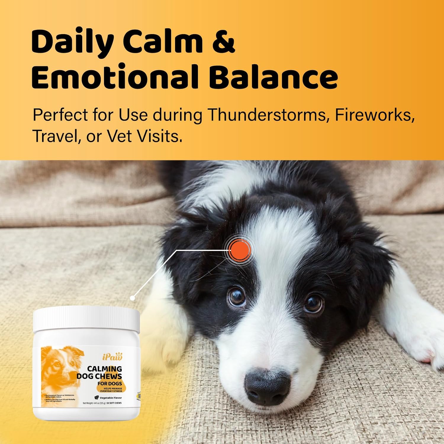iPaw Calming Chews for Dogs, Calming Dog Treats, Separation Anxiety Relief Calming Care, Manage Everyday Stress for Puppy, Made in USA, Vegetable Flavor (50 Chews)