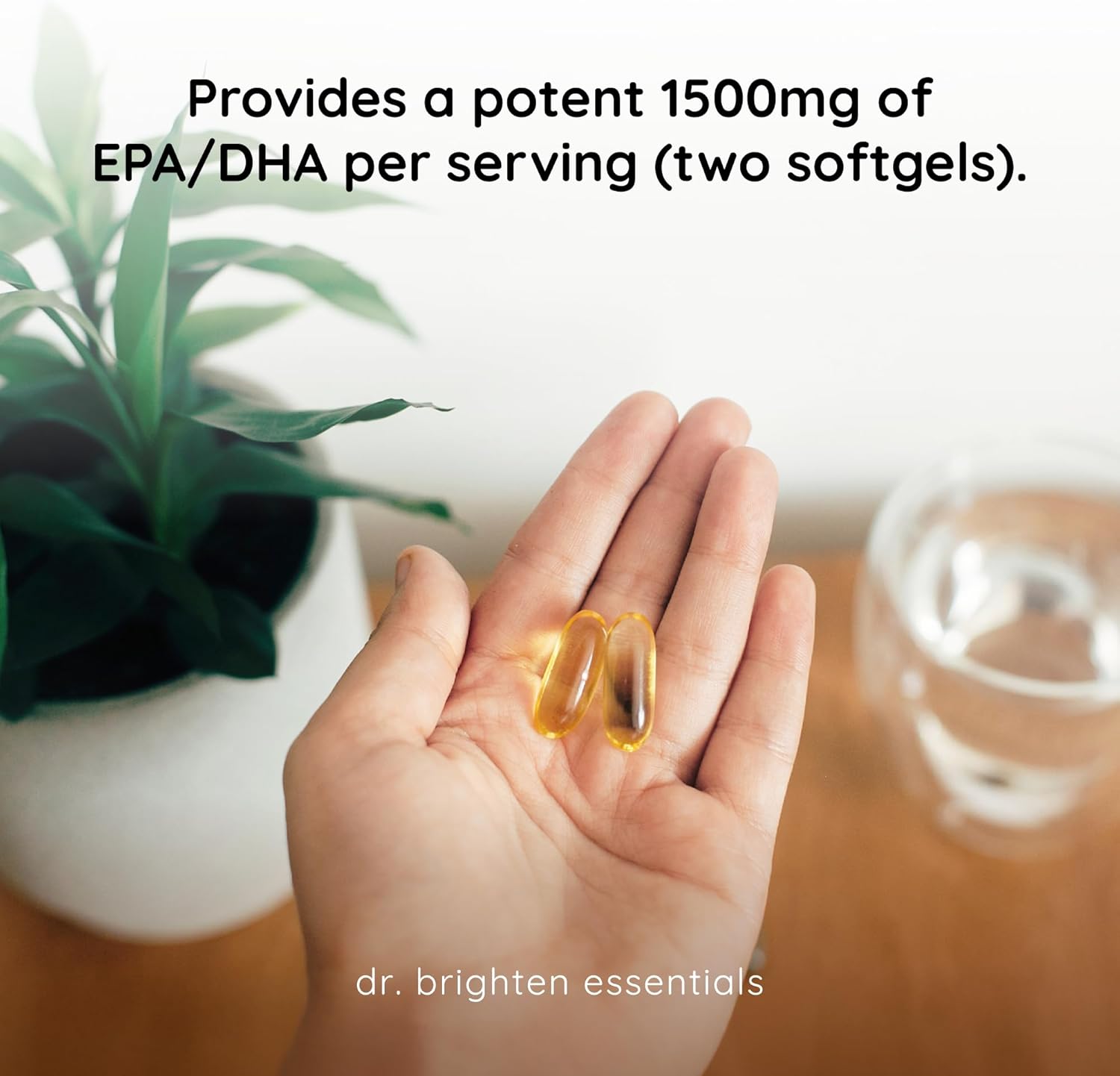 Dr. Brighten Omega Plus — 1600 mg of EPA/DHA Non-GMO Fish Oil Supplement for Heart, Brain, and Immune System — 60 Softgels