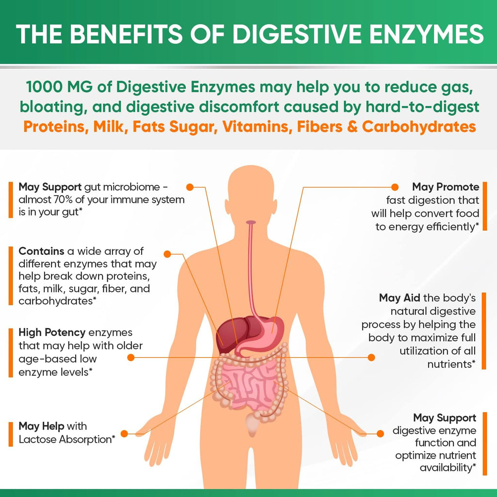 Wholesome Wellness Digestive Enzymes 1000MG Plus Prebiotics & Probiotics Supplement, 180 Capsules, Organic Plant-Based Vegan Formula for Digestion & Lactose with Amylase & Bromelain,3-6 Months Supply