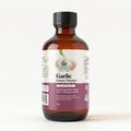 Amazing Botanicals Garlic Tincture – Allium Sativum Herbal Extract – High Potency Liquid Supplement – 240ml/(8oz)