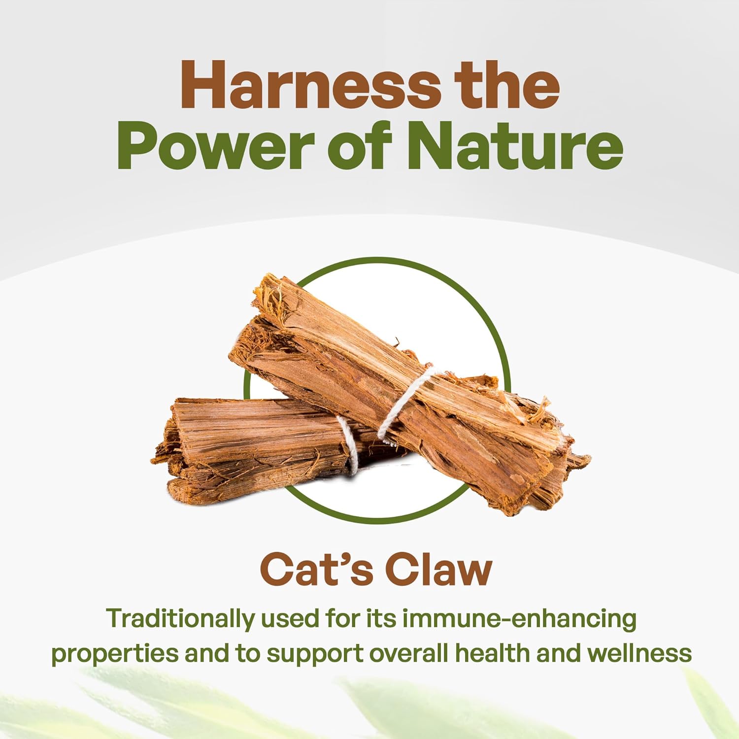 Go Nutra - Cat’s Claw Powder, Pure Cats Claw Herbal Supplement Wildly Harvested from Peru, All Natural UNA de Gato for Water, Tea, Juice, and More, Non-GMO, Gluten-Free, Vegan, 8 oz