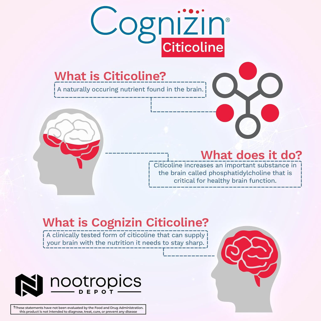 Nootropics Depot Cognizin Citicoline Capsules | 180 Count | Choline Supplement | Brain Health Supplement | Regulates Memory and Cognitive Function | Supports Attention, Focus and Recall