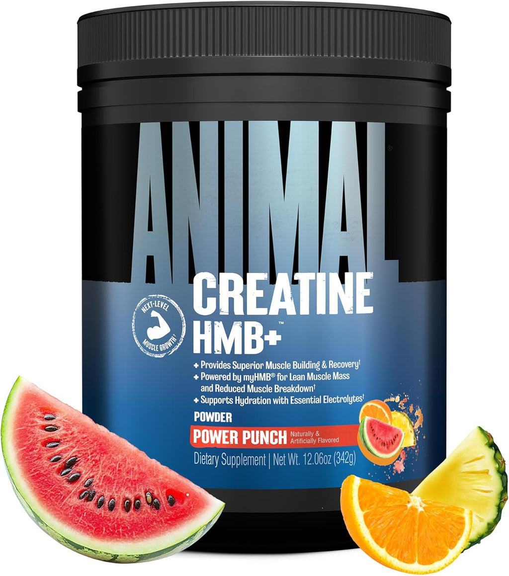 Animal Creatine HMB Powder – 5g Creatine + 3g myHMB with Electrolytes for Recovery & Daily Energy – Power Punch Flavor, 30 Servings