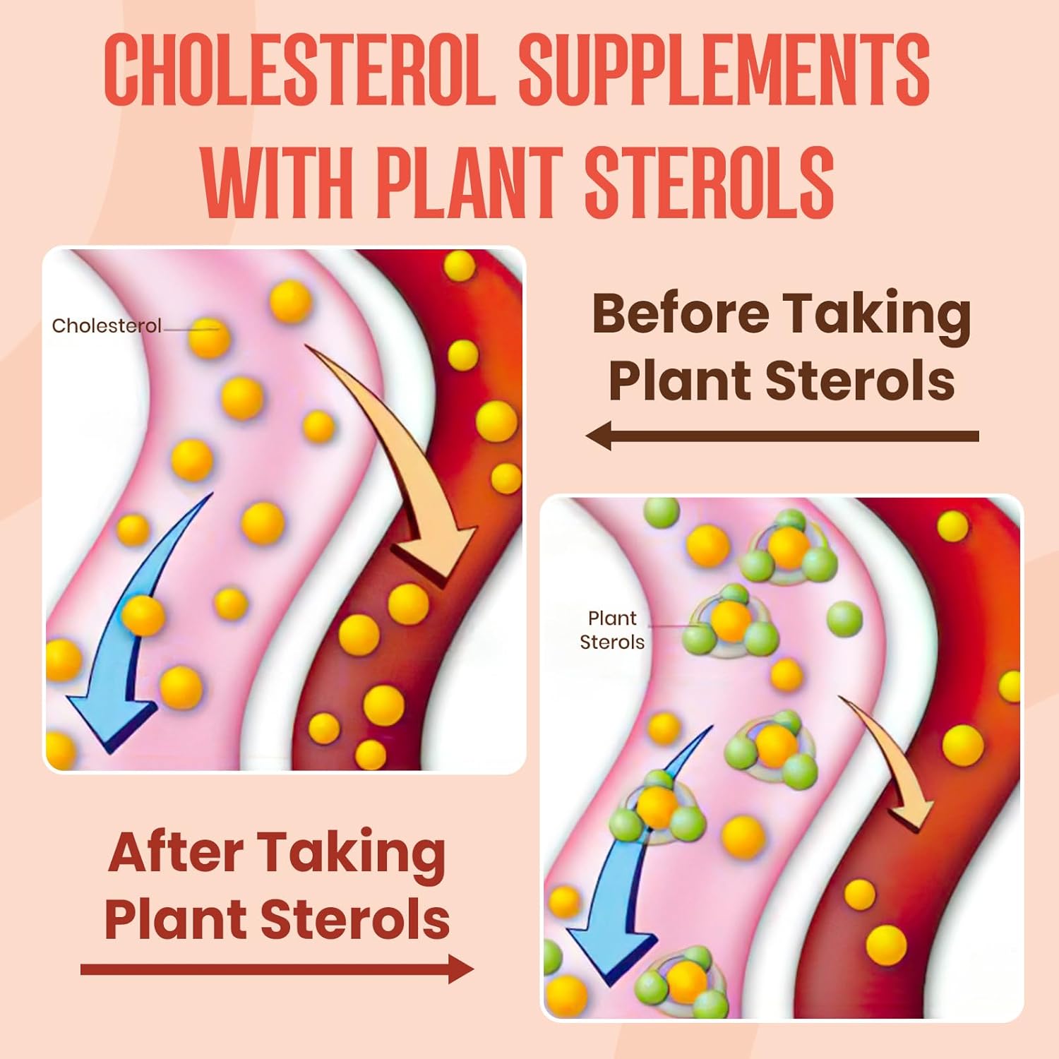 Cholesterol Supplement with Plant Sterols & Stanols, Guggul, Bergamot Orange Extract, Red Yeast Rice, Cholesterol Complex Gummies, Mixed Berry Flavor, 120 Counts