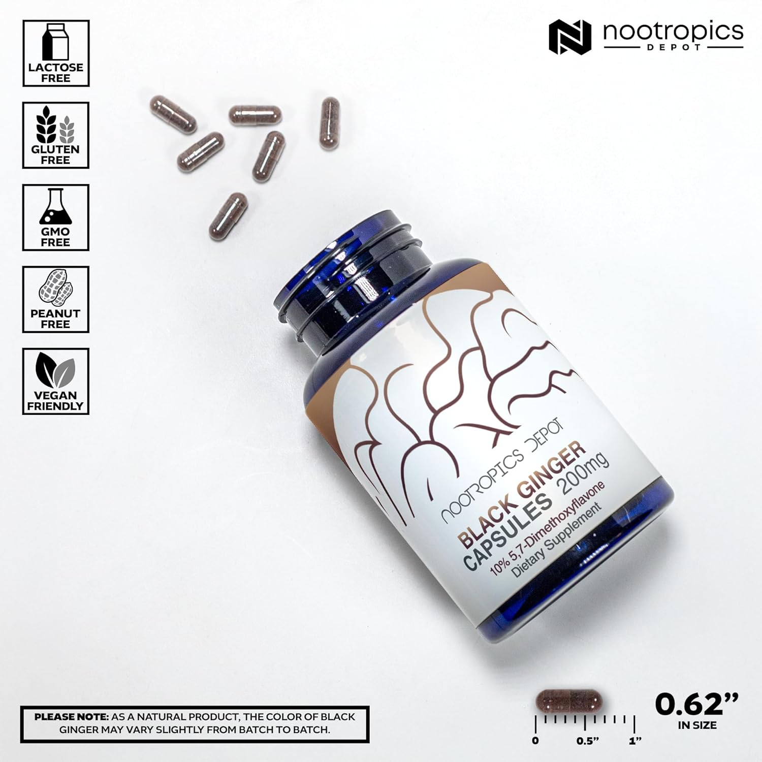 Nootropics Depot Black Ginger Extract Capsules | 10% 5,7-dimethoxyflavone | 60 Count