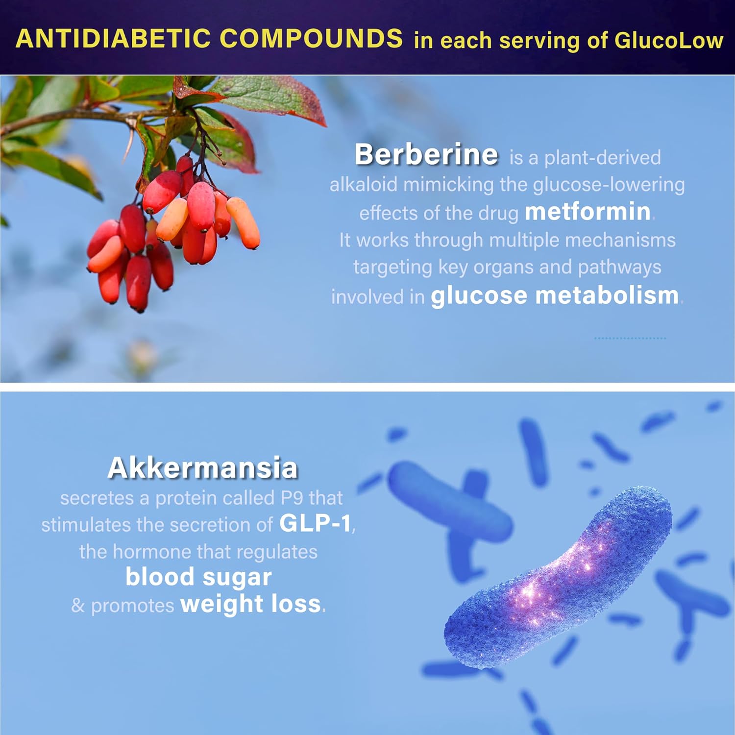 Blood Sugar Support Colostrum Supplement w/Bitter Melon, Probiotics Blend w/Akkermansia & Prebiotic Berberine | for Healthy Blood Glucose, Metabolism, Gut & Immunity | 90 Delayed Release Vegan Caps