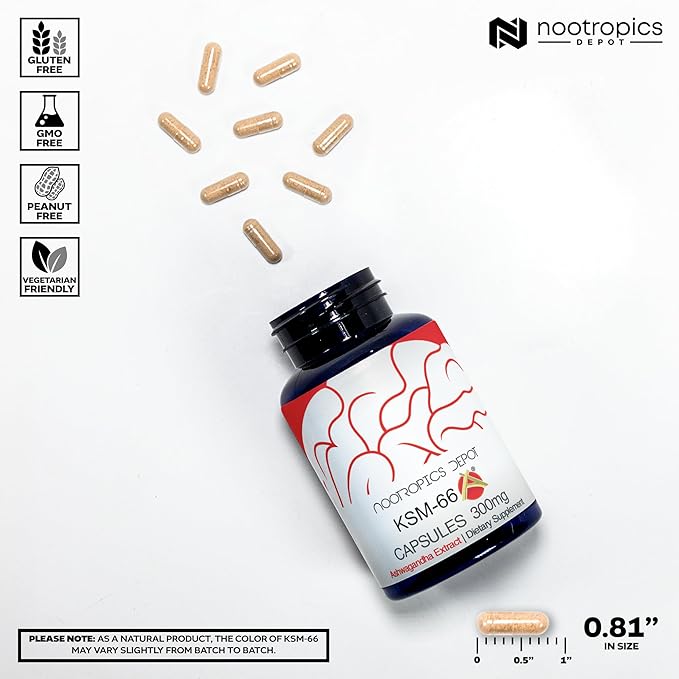 Nootropics Depot KSM-66 Ashwagandha Capsules | 300mg | 180 Count | Withania somnifera Extract | Ayurvedic Herb | Adaptogen Supplement | Stress + Promote Relaxation* | Energy, Memory + Focus*