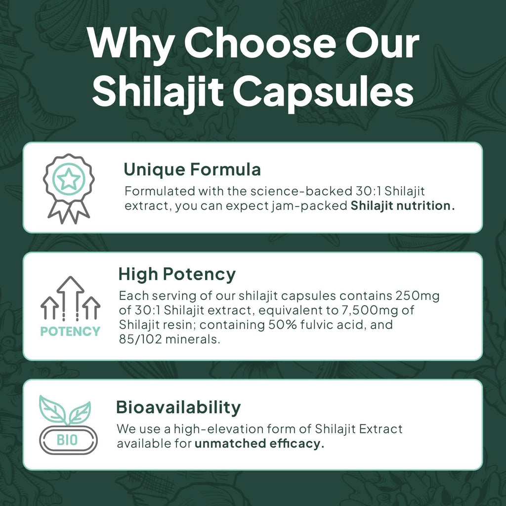 One-Per-Day Shilajit for Men and Women - Natural Shilajit Supplement for Age-Defying, Bone Strength, Hormone Support and More - 30 Shilajit Capsules