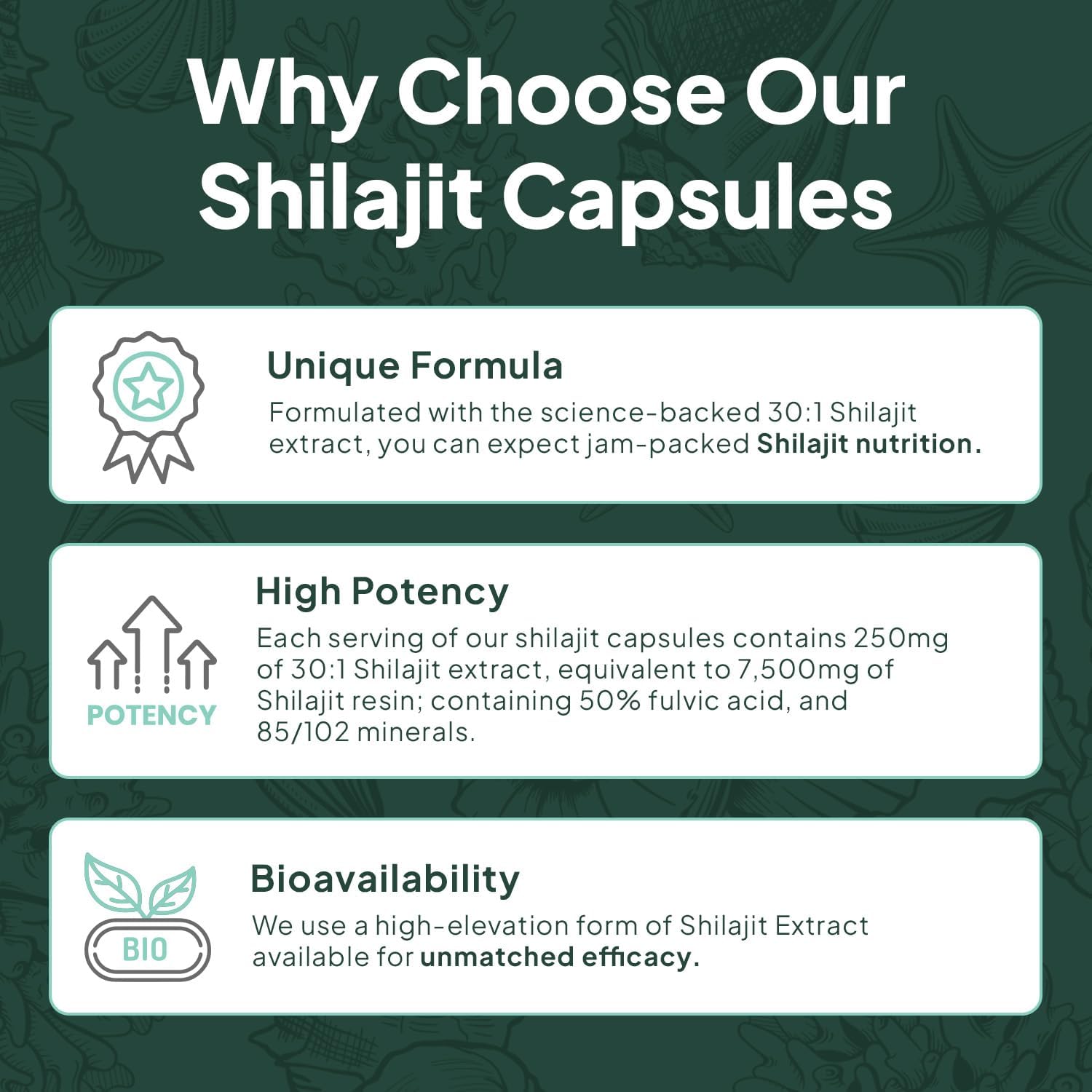 One-Per-Day Shilajit for Men and Women - Natural Shilajit Supplement for Age-Defying, Bone Strength, Hormone Support and More - 30 Shilajit Capsules