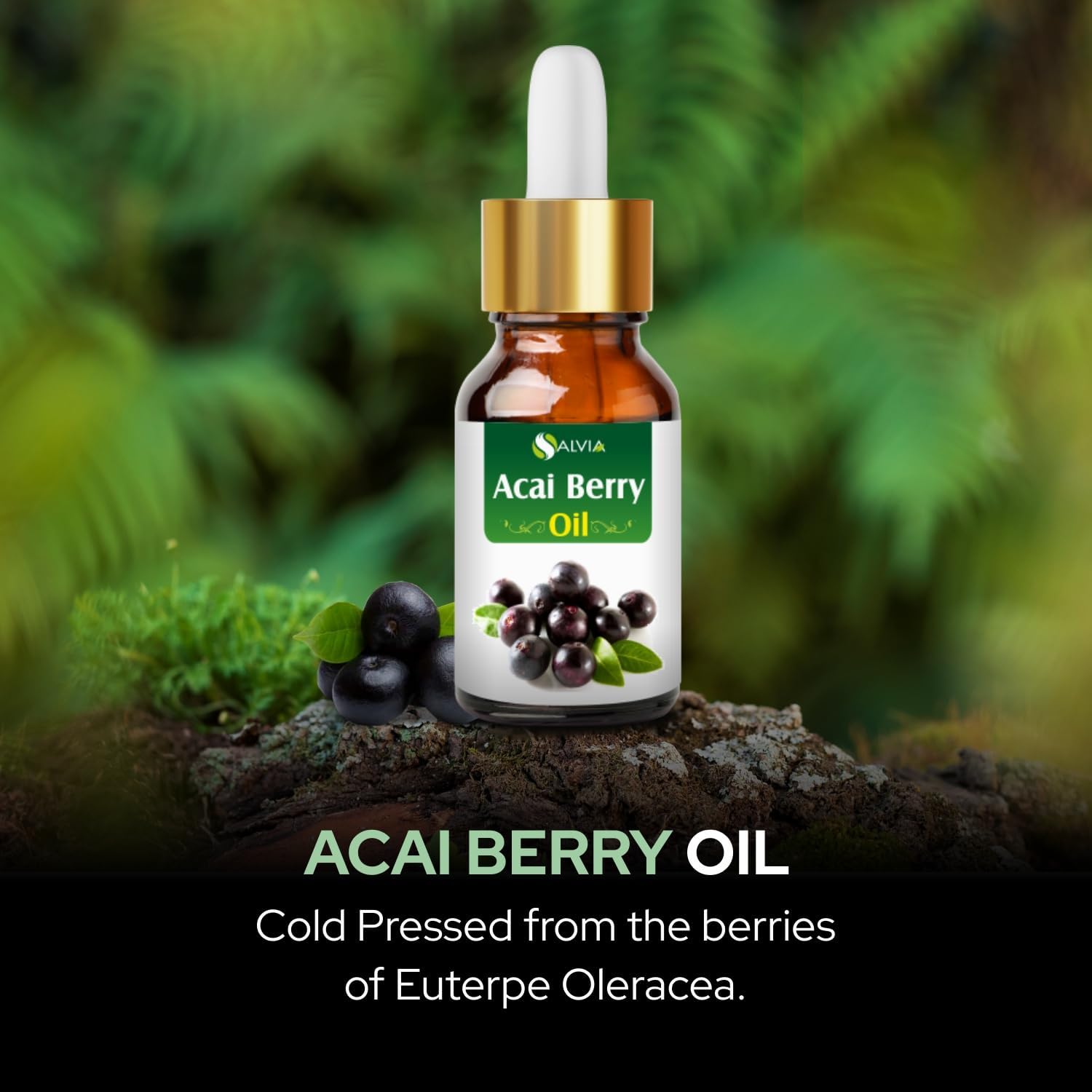 Acai Berry (Euterpe Oleracea) Cold Pressed Carrier Oil 100% Natural & Pure Undiluted Uncut Oil Use for Aromatherapy, Skin Care Therapeutic Grade (15ML with Dropper)