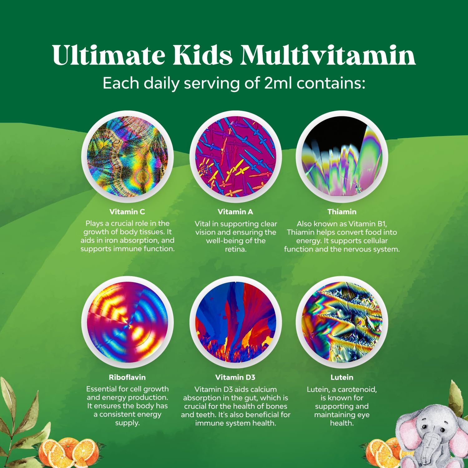 Natures Craft Liquid Multivitamin for Kids Immunity Support - Yummy Toddler Multivitamin Supplement with a C D3 E B6 and D3 Liquid Vitamins for Kids of All Ages - High Absorption (3 Pack)