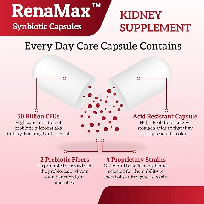 Capsule Kidney Restores & Kidney Care Supplement - Probiotic & Prebiotic Supplement to Support Normal Kidney Function - 50 Billion CFU per Capsule - Made in U.S.A (90 Caps (1 Pack))