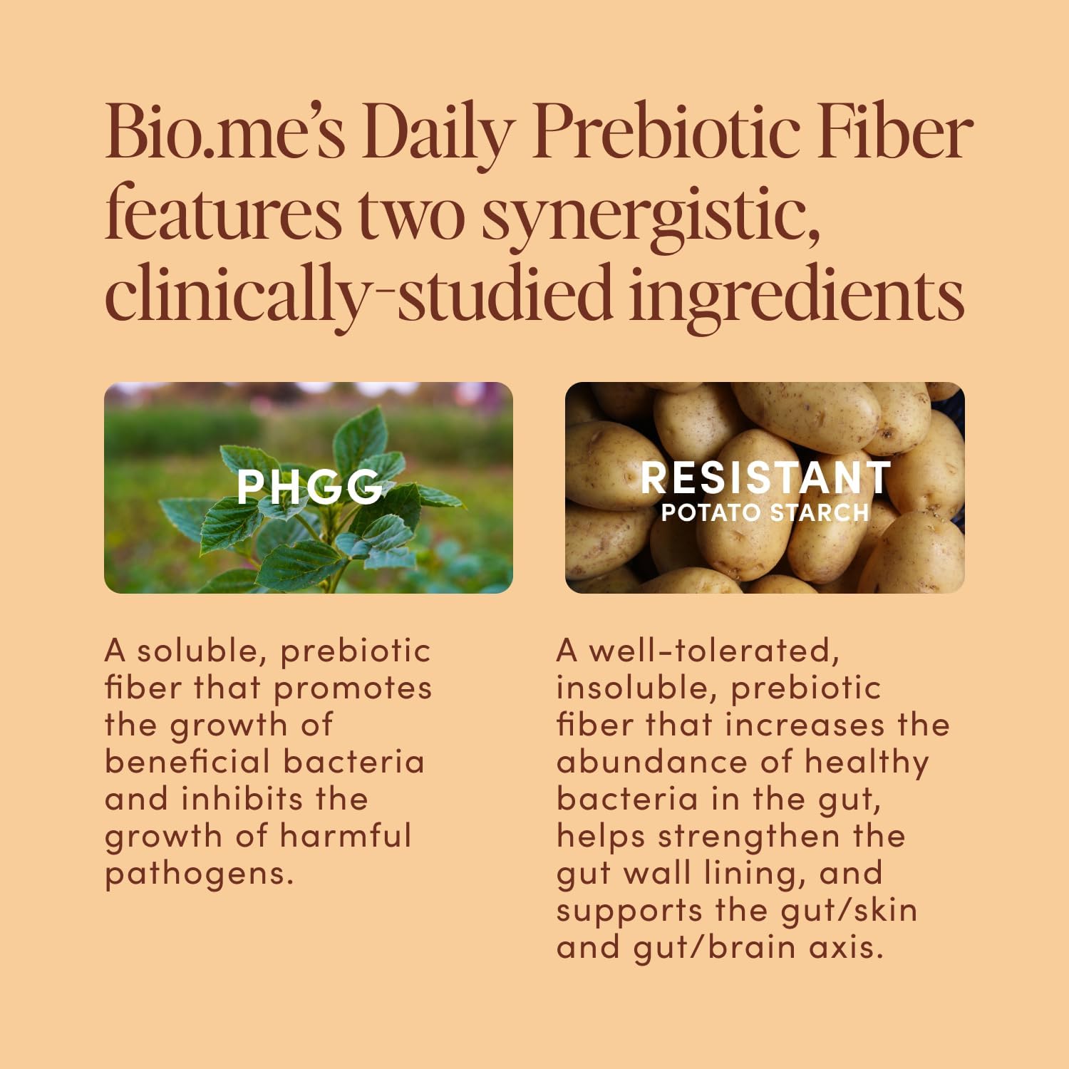 Daily Prebiotic Fiber Powder Chocolate - 7g Per Serving - Soluble & Insoluble Fiber Supplement Powder for Women & Men - Digestive Health & Gut Health - Sugar Free - 30 Servings