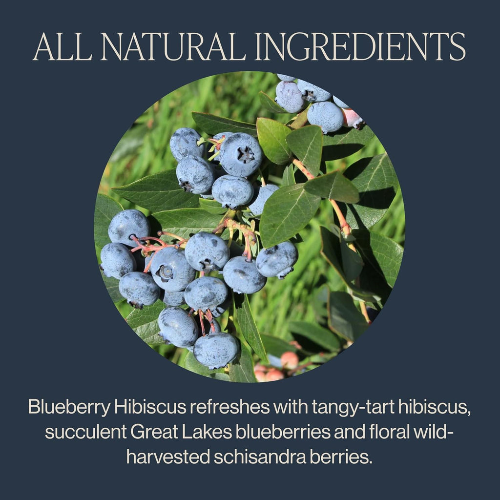 Rishi Tea Blueberry Hibiscus Herbal Tea - Organic, Caffeine Free Sachet Bags, Sweet & Tangy with Antioxidants, Enjoy Hot or Iced - 50 Count