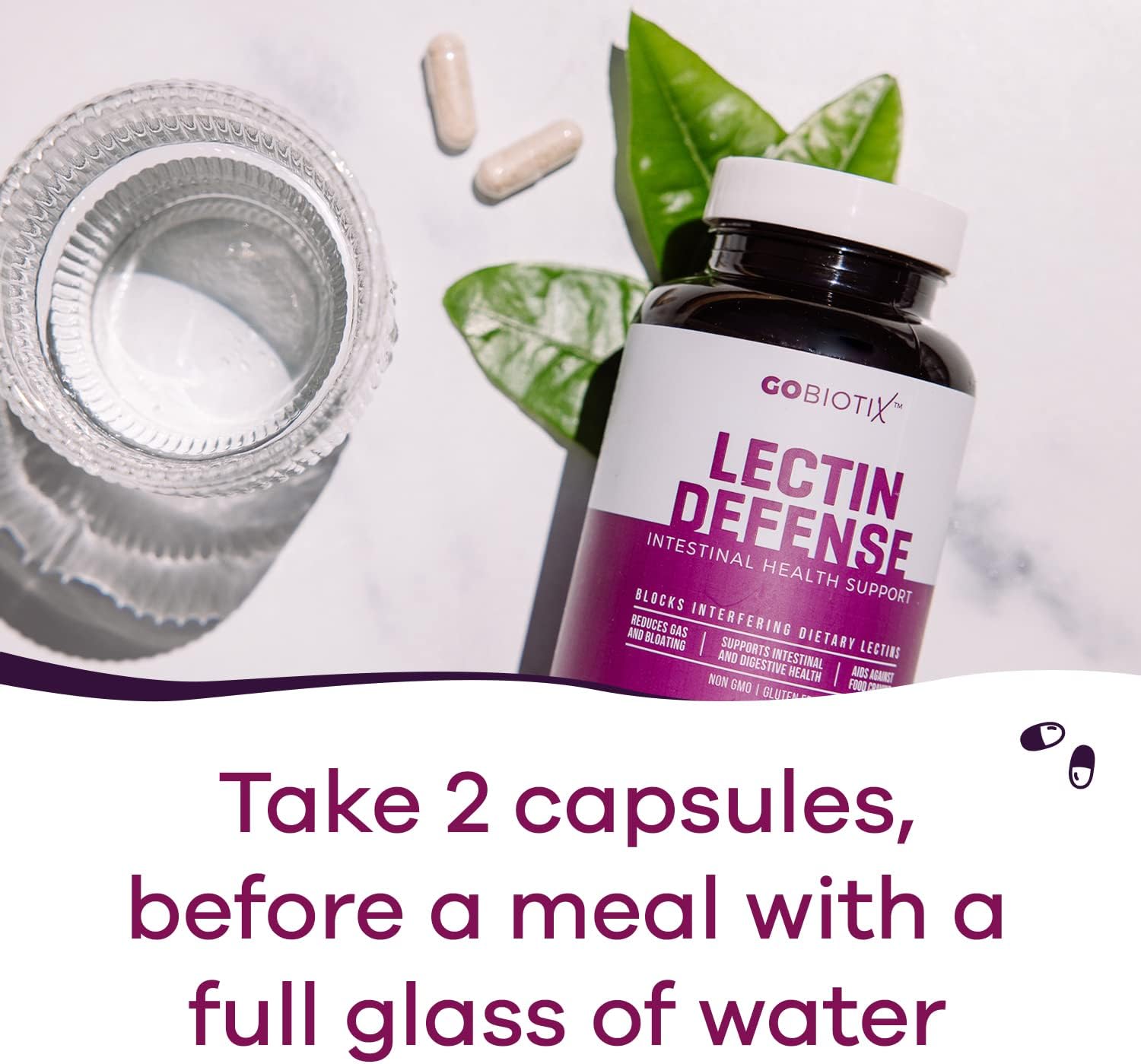 GOBIOTIX Lectin Defense - Lectin Blocker Supplement for Leaky Gut with MSM and Digestive Enzymes - Aids in Intestinal Health for Women and Men - Non-GMO + Gluten Free - 60 Capsules (2)