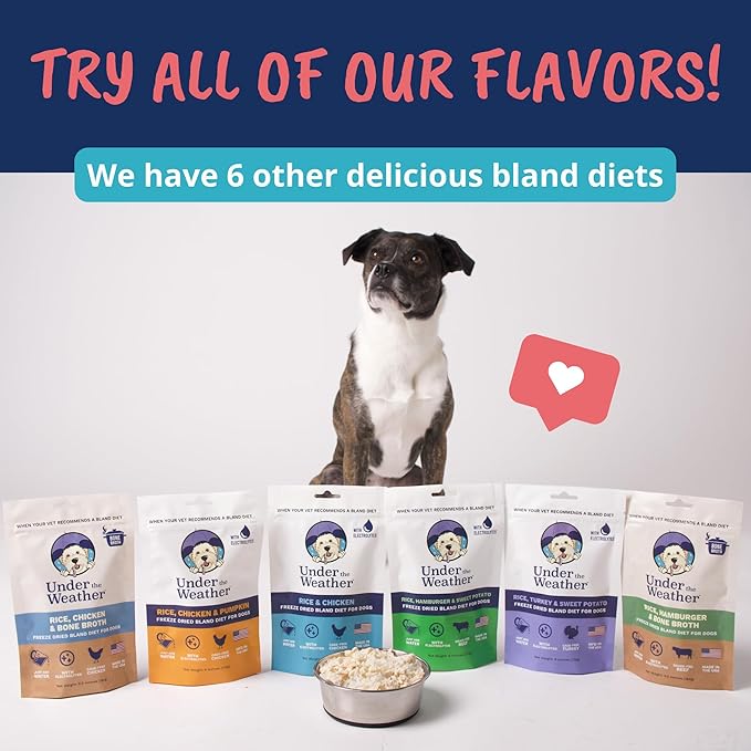 Under the Weather Bland Diet for Dogs | Easy to Digest Stomach Support for Sick Dogs | Contains Electrolytes, All Natural | 2 Pack - Turkey, Oatmeal, Sweet Potato & Slippery Elm - 6oz