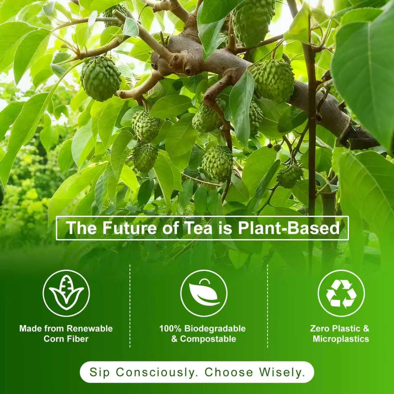 Soursop Leaves Tea 2g x 60 Teabags | 100% Natural Graviola Tea Immune, Antioxidant Boost & Relaxation | Caffeine-Free Herbal Tea
