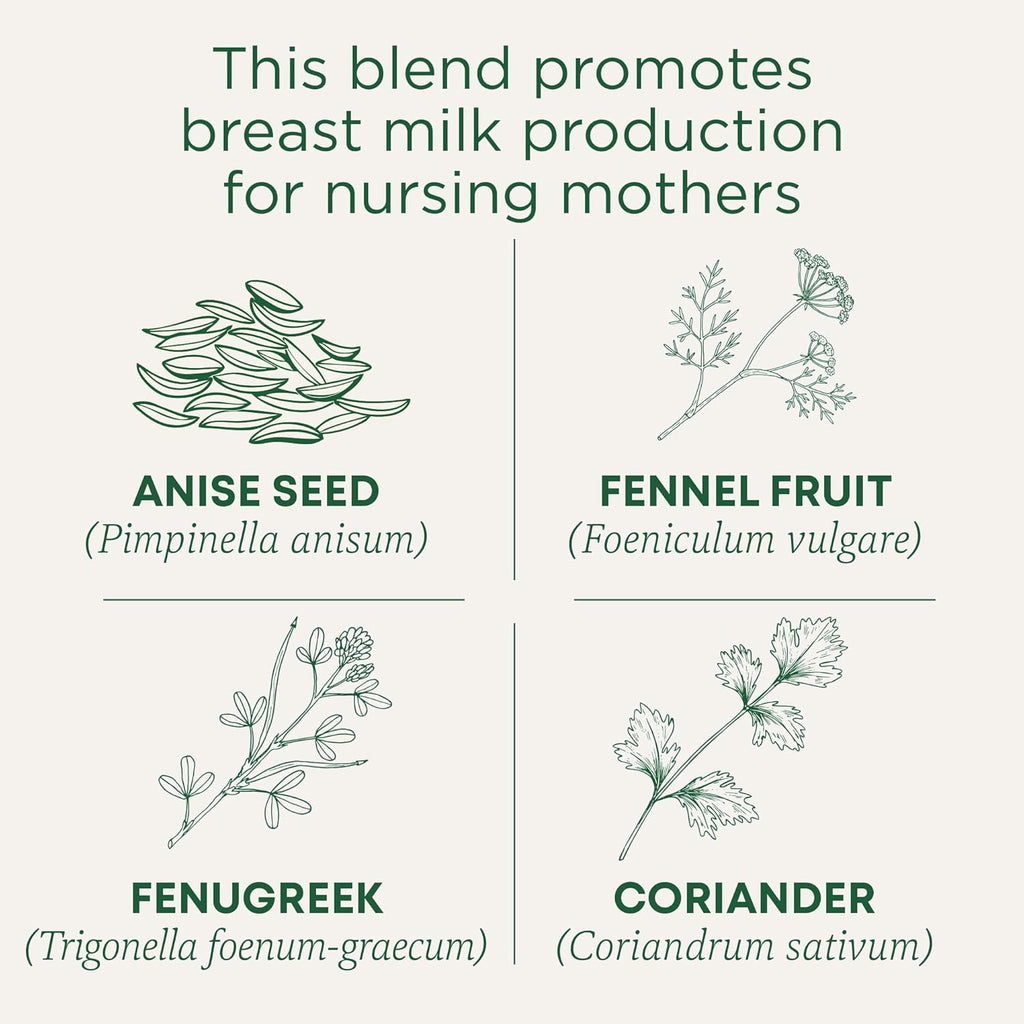 Traditional Medicinals - Organic Mother's Milk Herbal Tea (6 Pack) - Promotes Healthy Lactation in Breastfeeding Moms - 96 Tea Bags Total