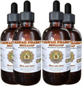 Skullcap (Scutellaria lateriflora) Liquid Extract 4x4 fl.oz