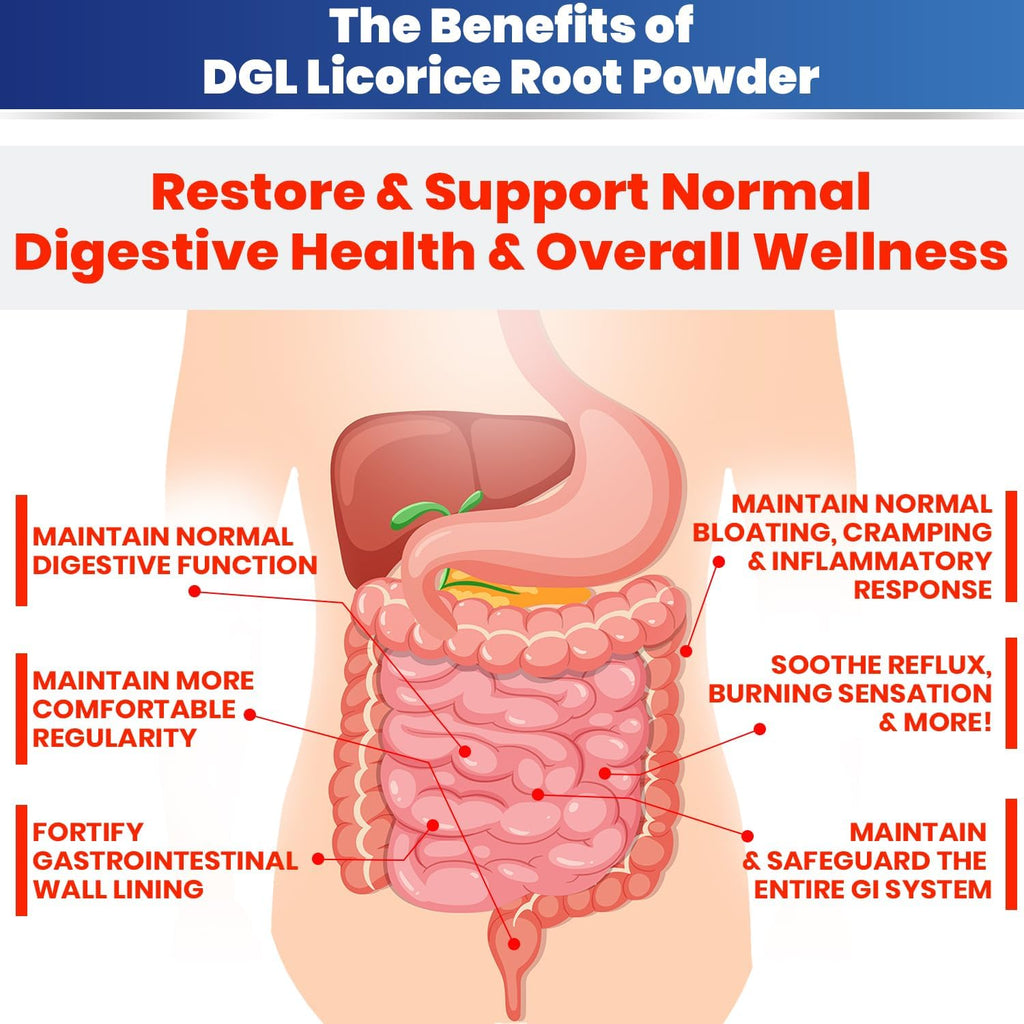 DGL Licorice Supplement: Supports Digestive Health, Gut Lining Support, DGL Powder for Wellness, Licorice Root Extract Powder, 140 serv.