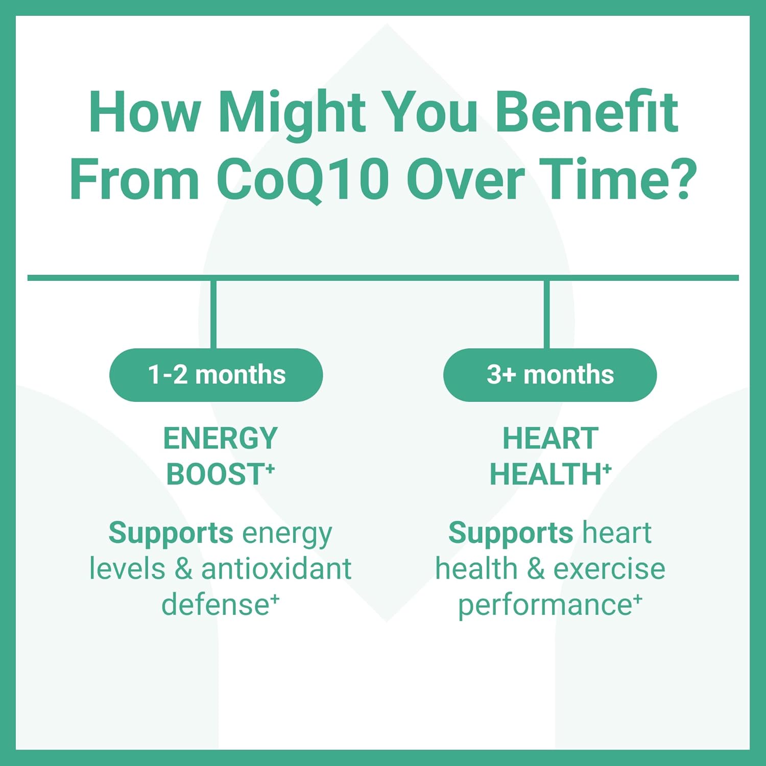Luma Nutrition CoQ10 400mg Softgels - High-Absorption Coenzyme Q10 - Co Q-10 200mg / 400mg Per Serving - Heart Health - 60 Liquid Softgels