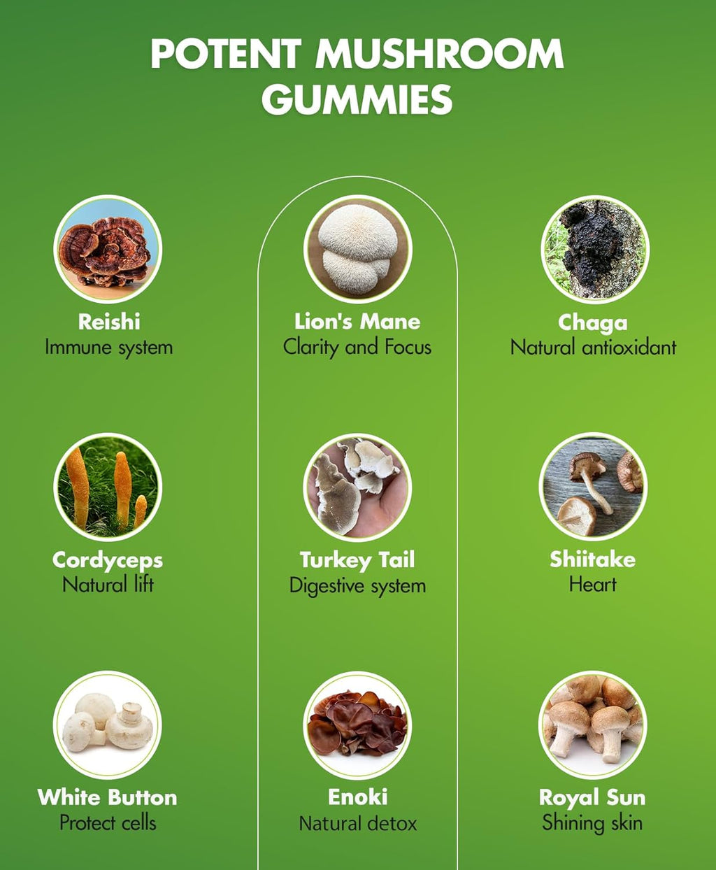 Mushroom Gummies – 10 Mushroom Complex with Lion’s Mane, Reishi, Chaga, Cordyceps & More – Fruity Vegan Gummies – Non-GMO, Gluten-Free, Plant-Based – 1 Pack