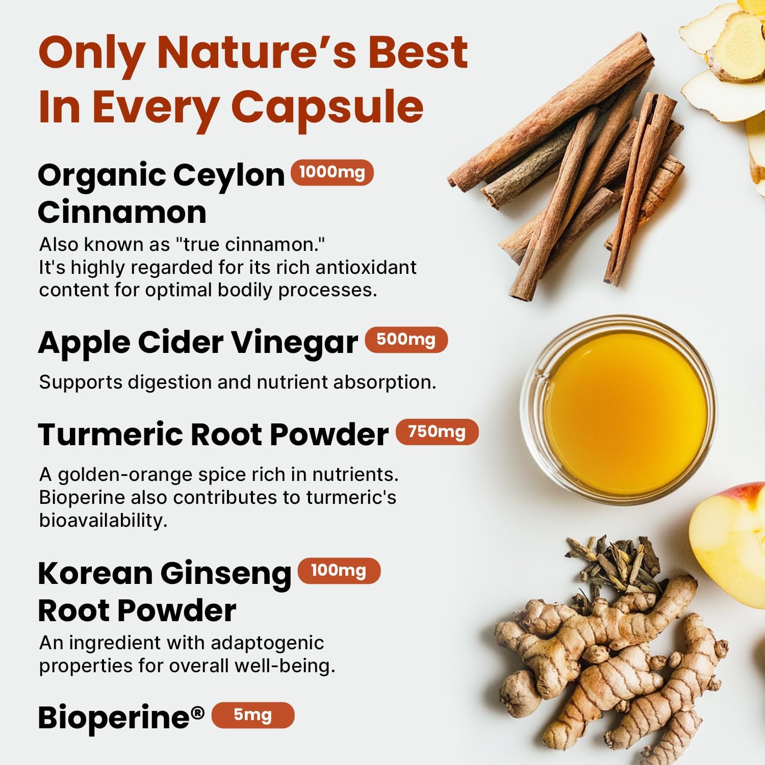 5-in-1 Ceylon Cinnamon Capsules 2355mg - Ceylon Cinnamon and Apple Cider Vinegar with Turmeric, Panax Ginseng, Cinnamon, and Bioperine, 60ct