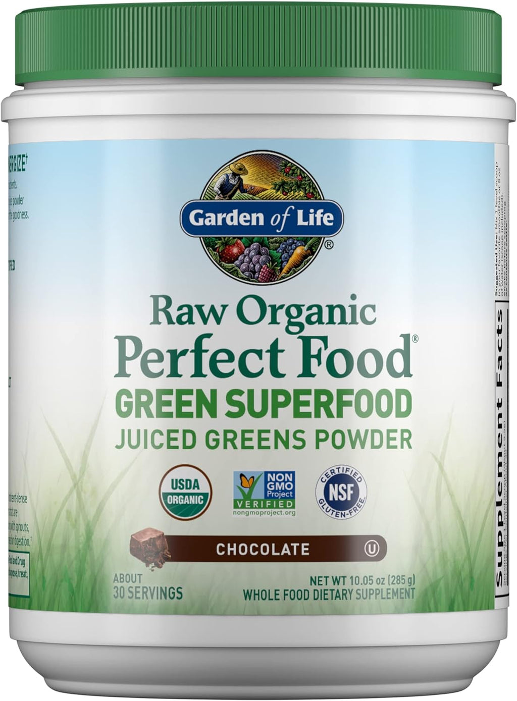 Garden of Life Raw Organic Perfect Food Green Superfood Juiced Greens Powder - Chocolate, 30 Servings - Non-GMO, Gluten Free, Vegan Whole Food Dietary Supplement, Plus Probiotics & Enzymes